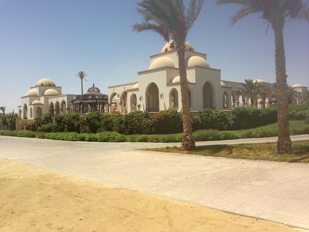 شقة Palm 302b